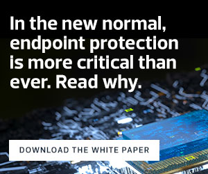 Download a white paper on endpoint security